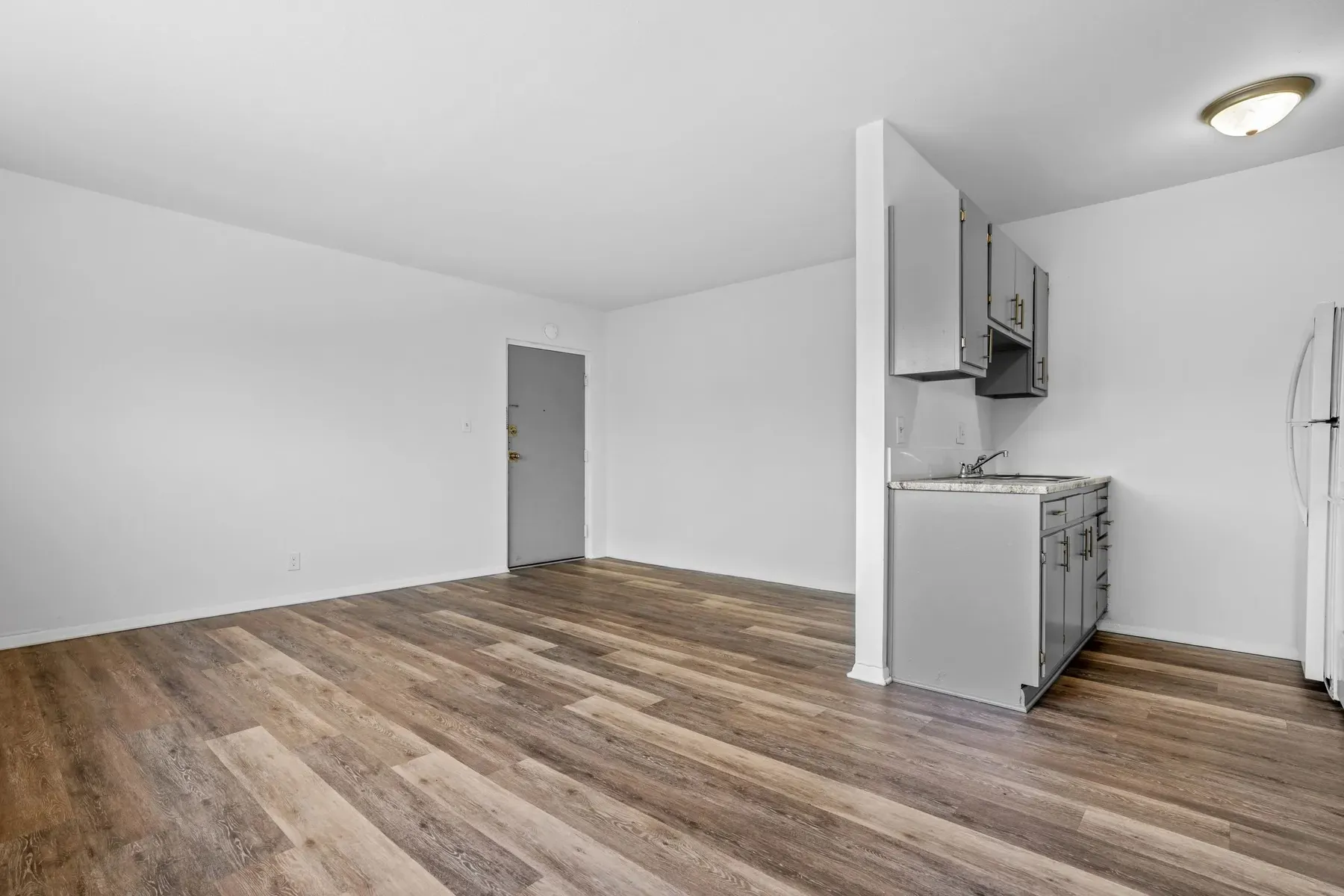 Open living room with wood-look flooring, the front door and a kitchenette with gray cabinets