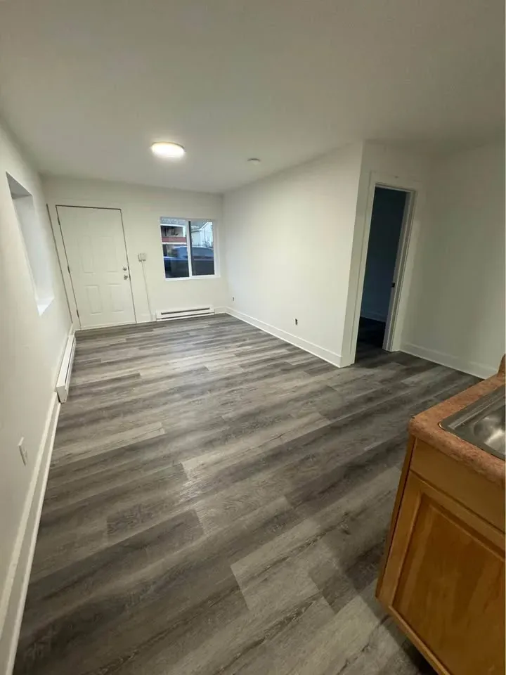 Long studio living area with gray wood-look flooring and an entry door at New Palestine Apartments, New Palestine